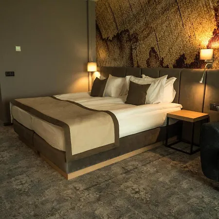 The Five Elements Hotel And Spa Saparewa Banja Zewnętrze zdjęcie