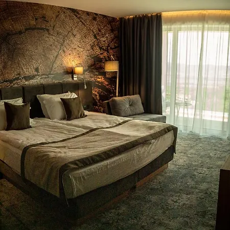 The Five Elements Hotel And Spa Saparewa Banja Zewnętrze zdjęcie