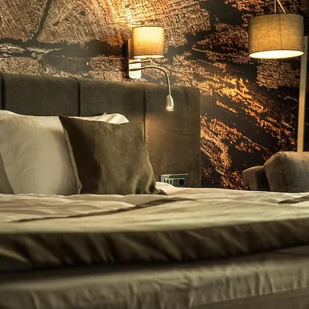 The Five Elements Hotel And Spa Saparewa Banja Zewnętrze zdjęcie