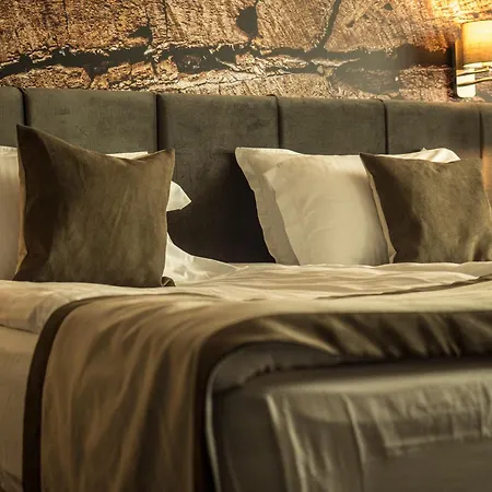 The Five Elements Hotel And Spa Saparewa Banja Zewnętrze zdjęcie