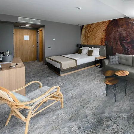 The Five Elements Hotel And Spa Saparewa Banja Zewnętrze zdjęcie